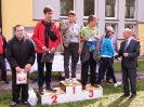 DZIEN ZE STELLA